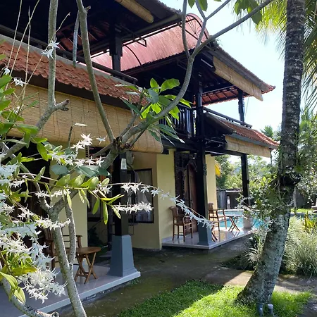 Atres Villa-2
